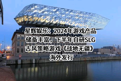 星辉互动娱乐股份有限公司
