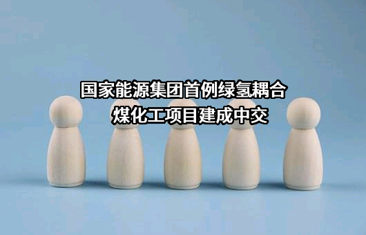 国家能源投资集团有限责任公司