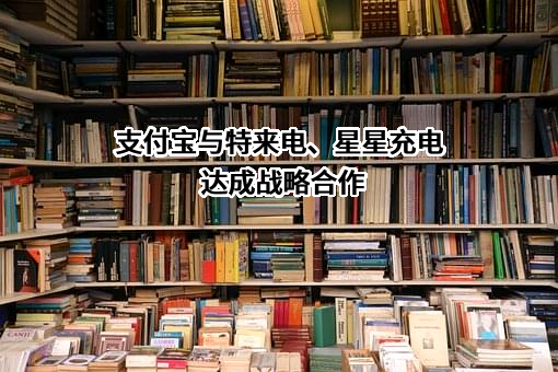 支付宝（中国）网络技术有限公司