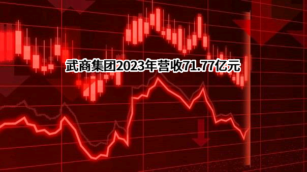 武商集团股份有限公司