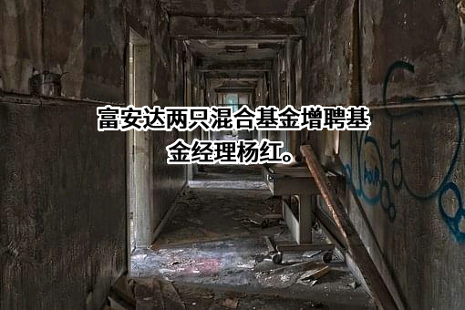 富安达基金管理有限公司