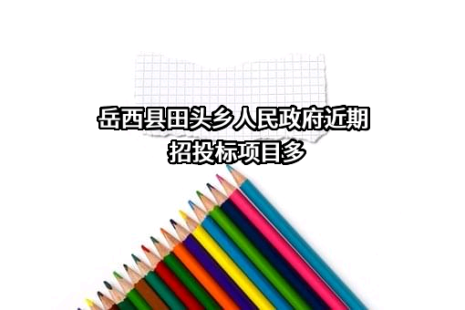 岳西县田头乡人民政府近期招投标项目多