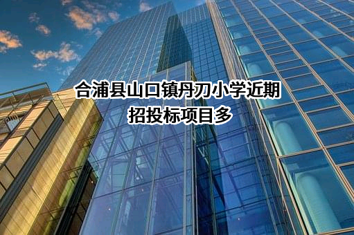 合浦县山口镇丹刀小学