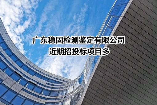 广东稳固检测鉴定有限公司