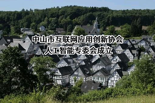 中山市互联网应用创新协会