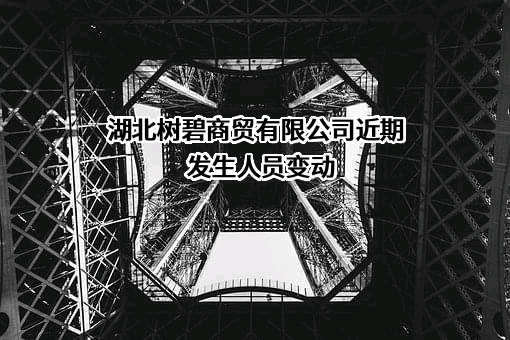 湖北树碧商贸有限公司