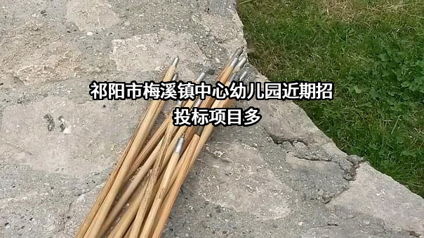 祁阳市梅溪镇中心幼儿园近期招投标项目多