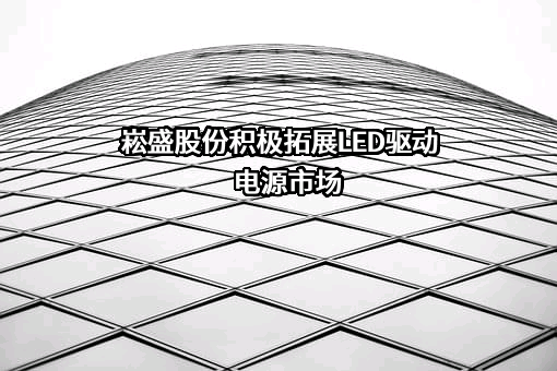 广东省崧盛电源技术有限公司