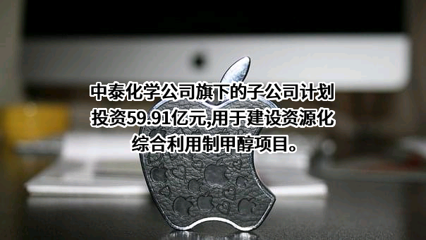 新疆中泰化学股份有限公司