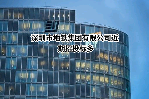 深圳市地铁集团有限公司