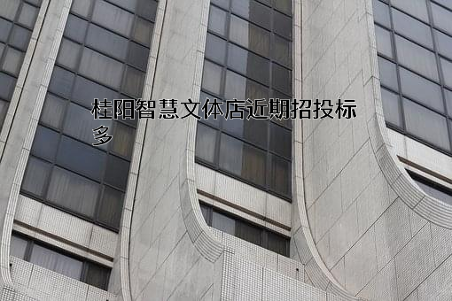 桂阳智慧文体店