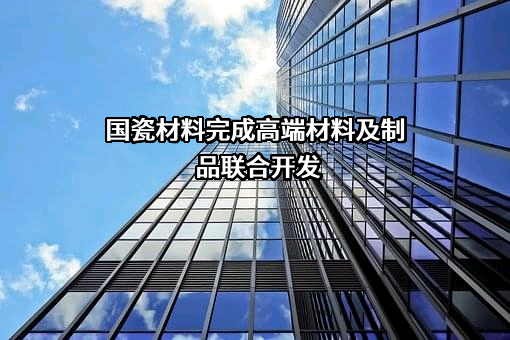 山东国瓷功能材料股份有限公司