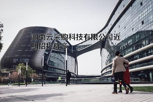 湖南云采购科技有限公司