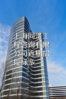 上海同济工程咨询有限公司