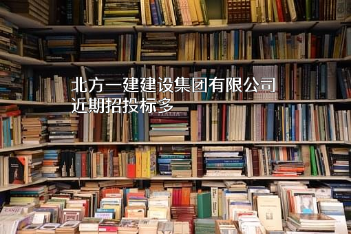北方一建建设集团有限公司