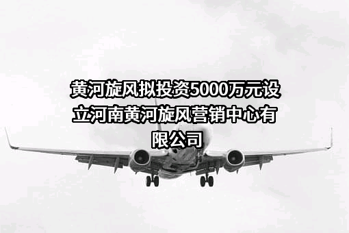 河南黄河旋风股份有限公司