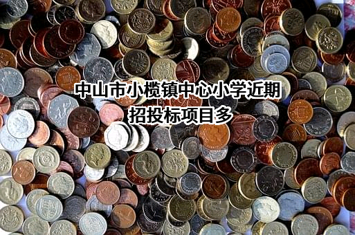 中山市小榄镇中心小学近期招投标项目多