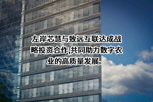 上海左岸芯慧电子科技有限公司