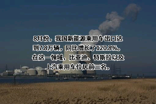 比亚迪股份有限公司