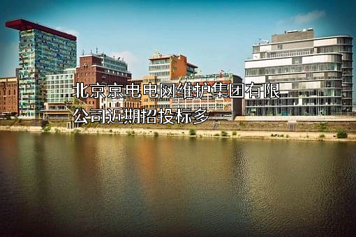 北京京电电网维护集团有限公司