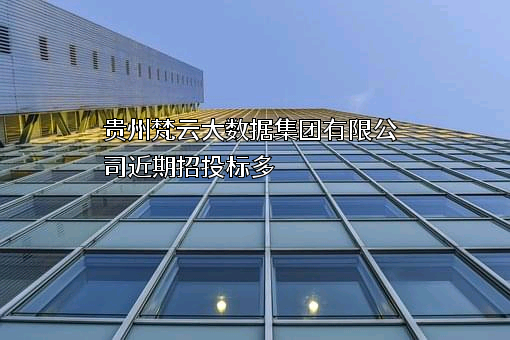 贵州梵云大数据集团有限公司