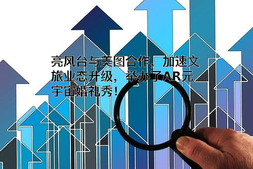 亮风台（上海）信息科技有限公司
