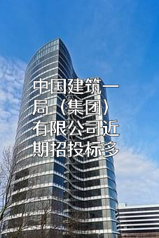 中国建筑一局（集团）有限公司