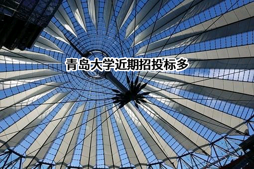 青岛大学