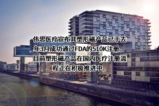 南京伟思医疗科技股份有限公司