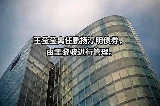 鹏扬基金管理有限公司