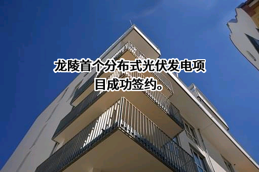 陕西兴正伟新能源科技有限公司