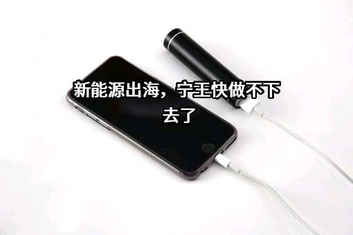 和县宁王豆制食品有限公司