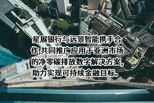 星展银行（中国）有限公司