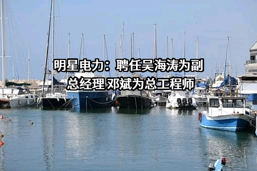 明星电力：聘任吴海涛为副总经理 邓斌为总工程师