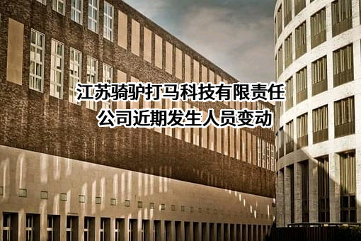 江苏骑驴打马科技有限责任公司