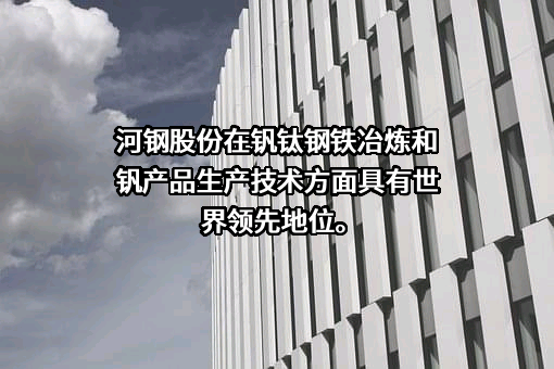 河钢股份有限公司