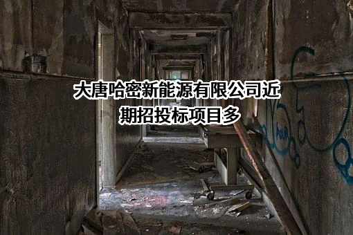 大唐哈密新能源有限公司