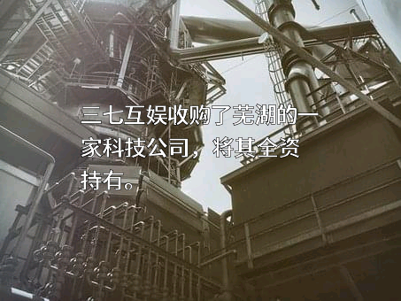 芜湖闪娱网络科技有限公司