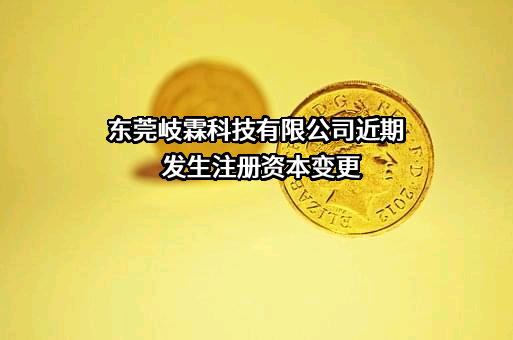 东莞岐霖科技有限公司