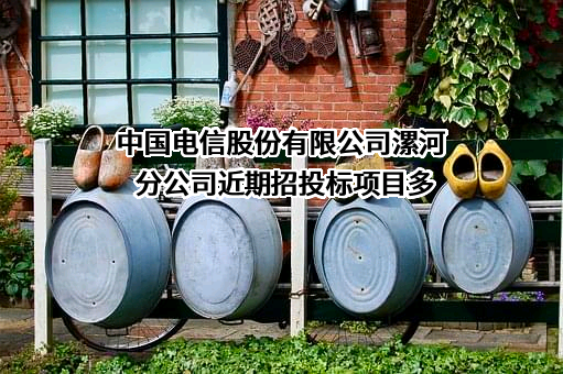 中国电信股份有限公司漯河分公司
