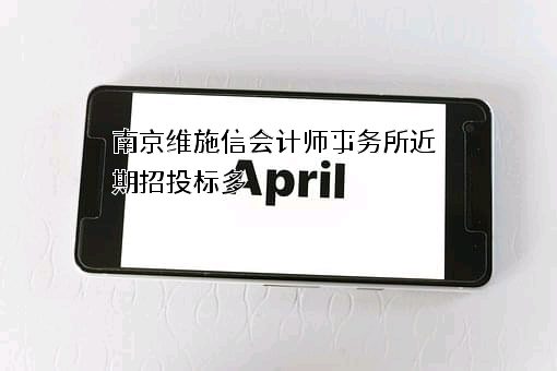 南京维施信会计师事务所