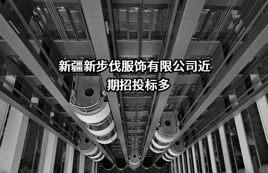 新疆新步伐服饰有限公司