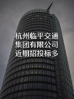 杭州临平交通集团有限公司