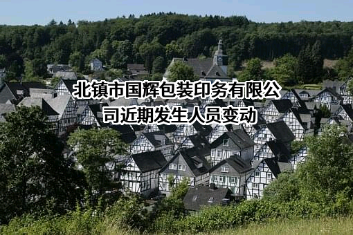 北镇市国辉包装印务有限公司