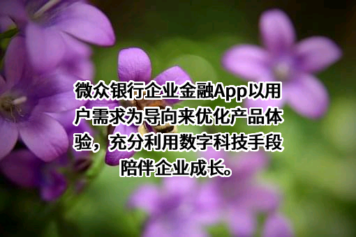 深圳前海微众银行股份有限公司