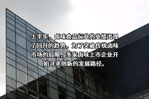 周黑鸭国际控股有限公司