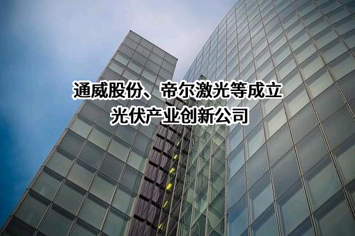 武汉帝尔激光科技股份有限公司
