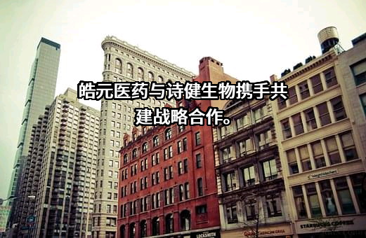 上海皓元医药股份有限公司