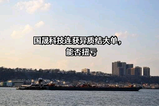 安徽国晟新能源科技有限公司