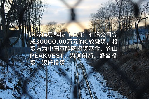 芯翼信息科技（上海）有限公司